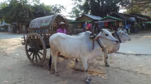 1535594_10153685198000247_1318351608_n